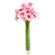 pink gerberas in a vase. Varna